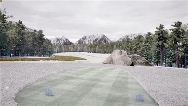 The Winter Wonderland