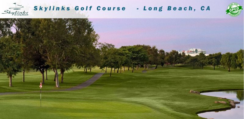 Skylinks GC