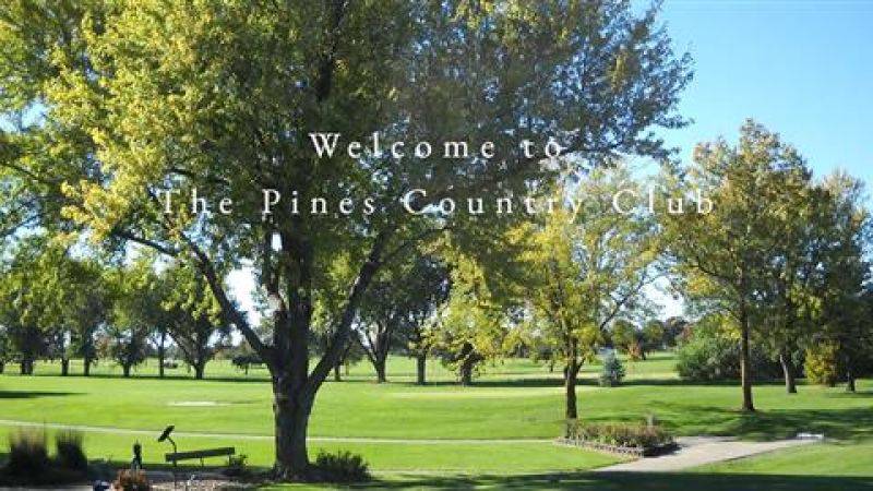 The Pines