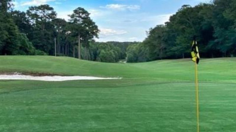 Willow Oaks Golf Club — GSPro course in Ozark, Alabama, USA, designed by CDrum