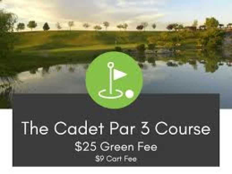 Falcon Crest Cadet 9