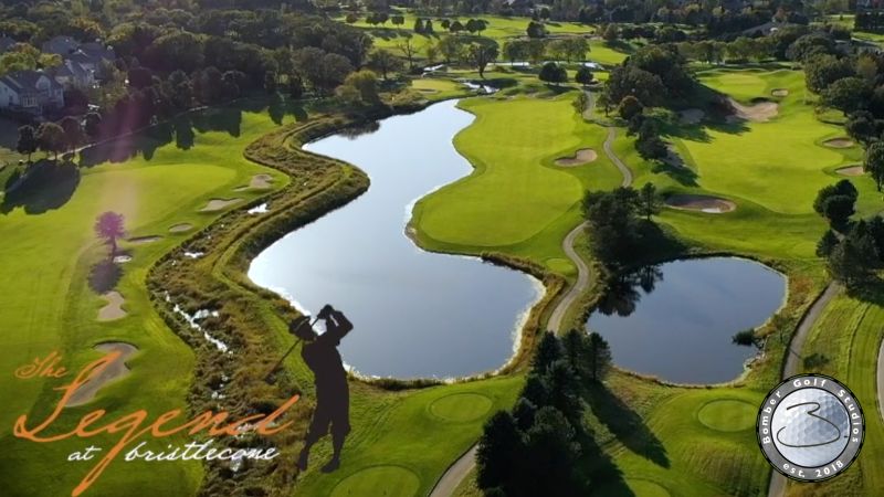 The Legend of Bristlecone