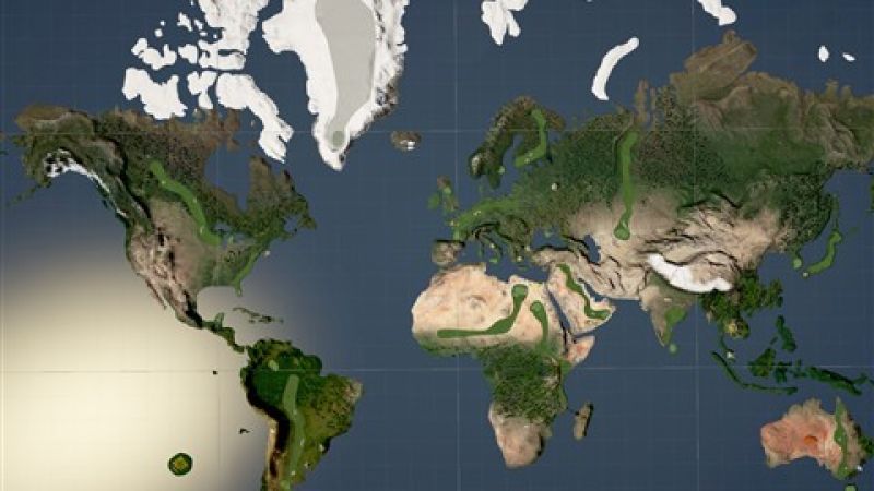 The Globe