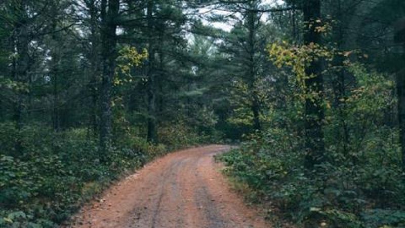 Backwoods Chip n Putt