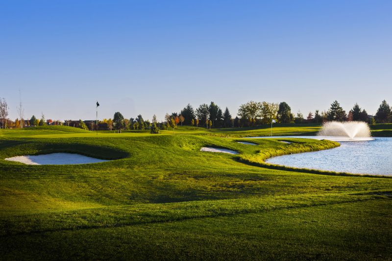 Challange Course At Spurwing