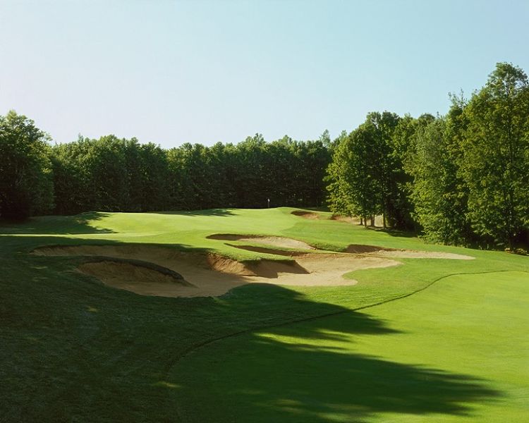 Black Forest GC