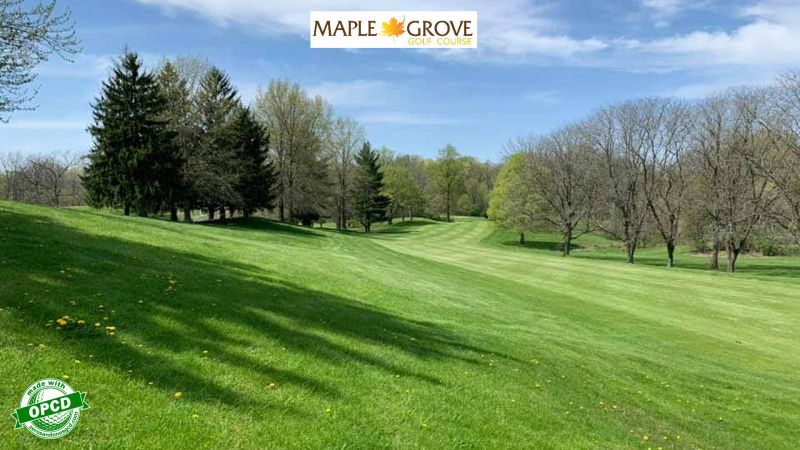 Maple Grove