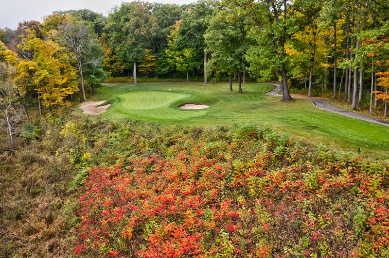The Bull at Pinehurst Farms