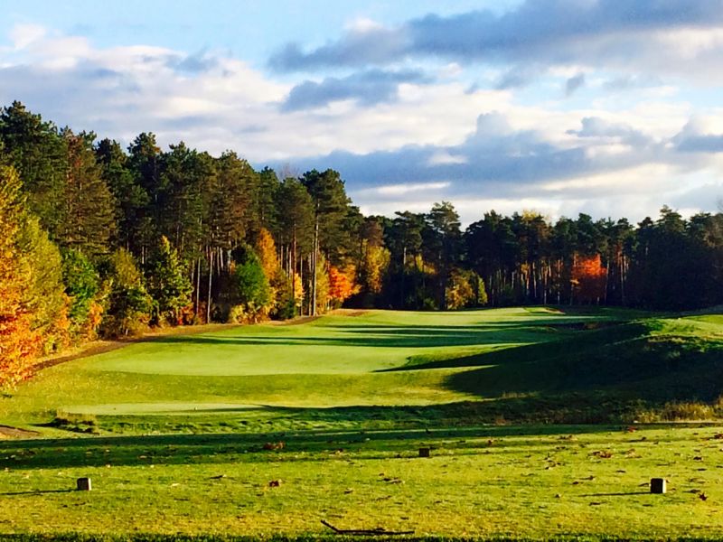 Timber Trace Golf Club