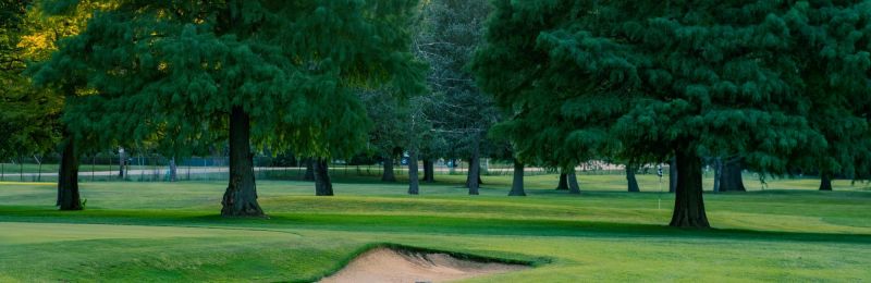 Thatcher Golf Course — GSPro course in Indianapolis, Indiana, USA, designed by Thegolfboy