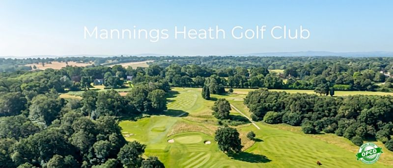 Mannings Heath - Kingfisher