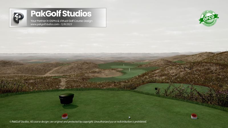 The Mulligan at Ballyneal