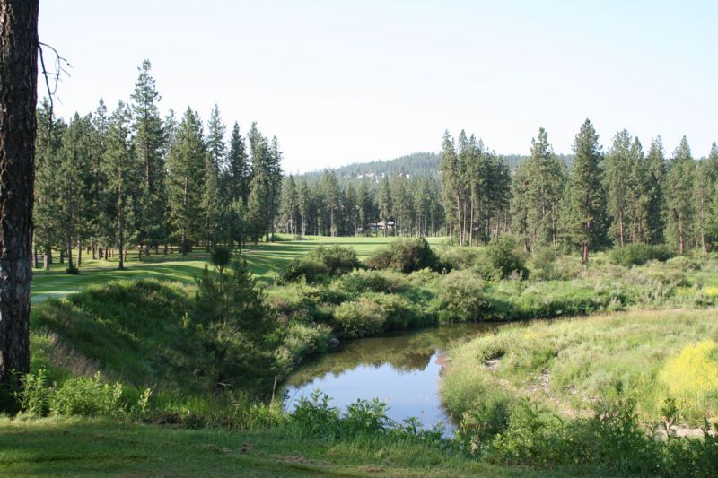 The Creek At Qualchan