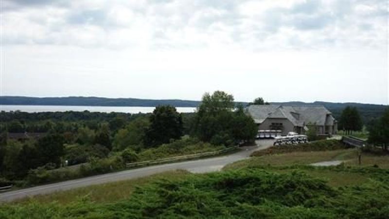 Crystal Downs