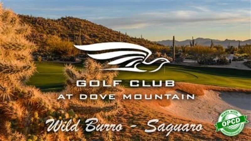 Dove Mountain (Wild Burro Saguaro)