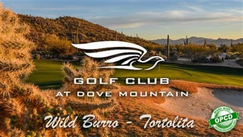 Dove Mountain (Wild Burro Tortolita)